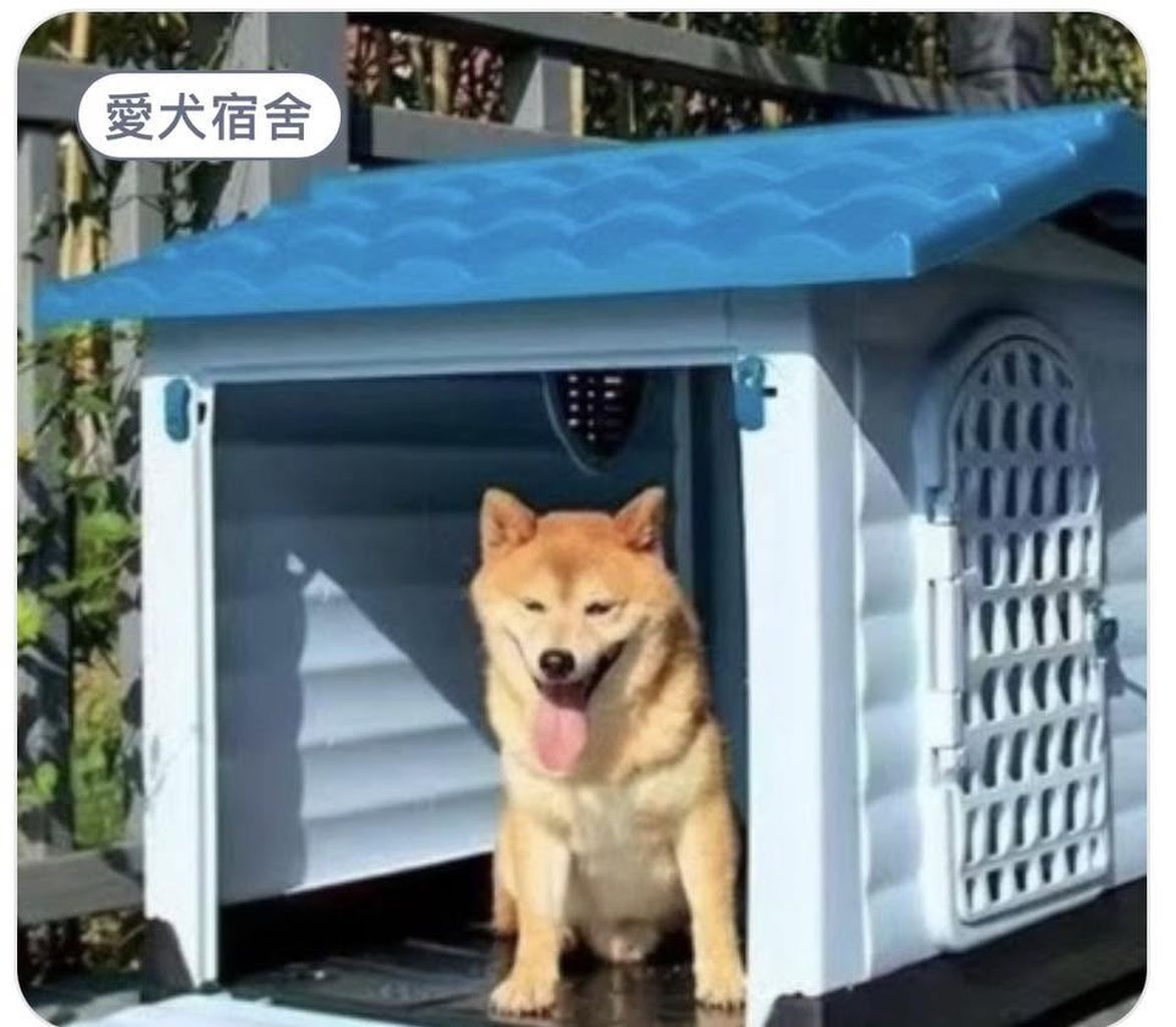 毛孩子友善2